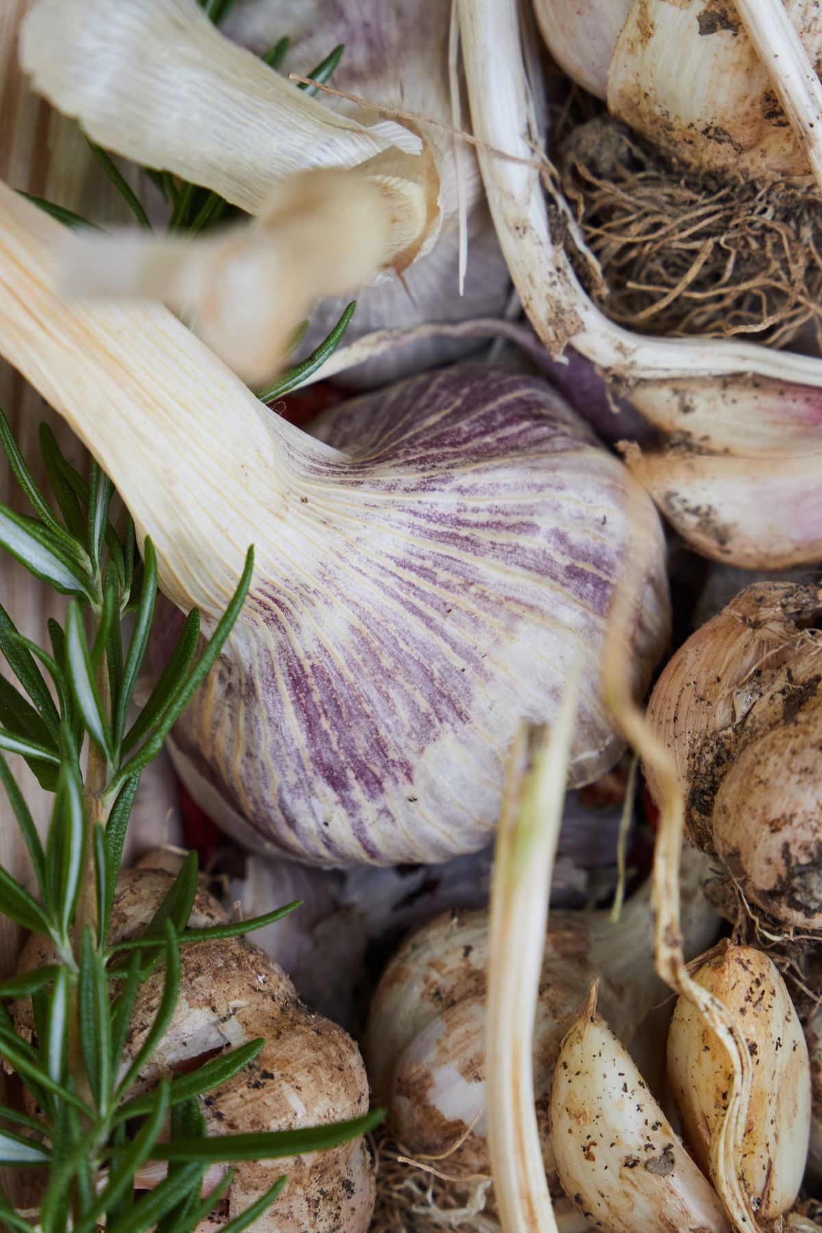Garlic and produce on the table at Poggio La Noce
